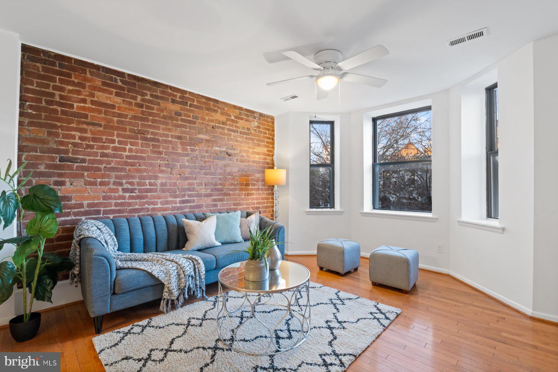 36 Q Street Northwest Washington, DC 20001 - Photo 3 of 40 a living room with furniture and a potted plant