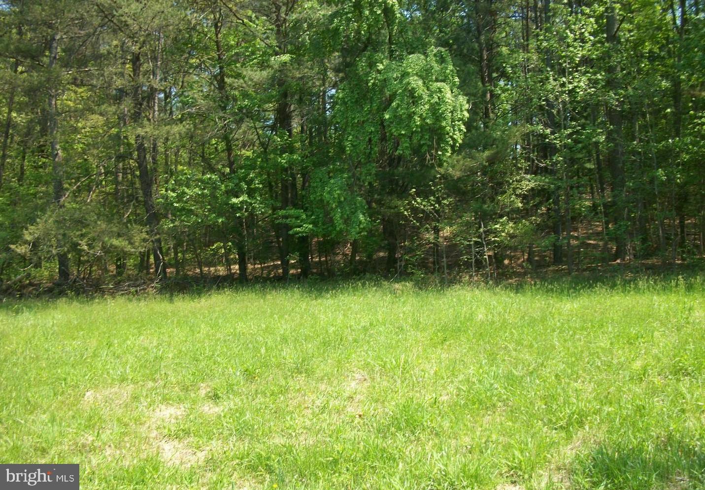 By The Mill Road California, MD 20619 - Photo 12 of 25 Gallery Image 12