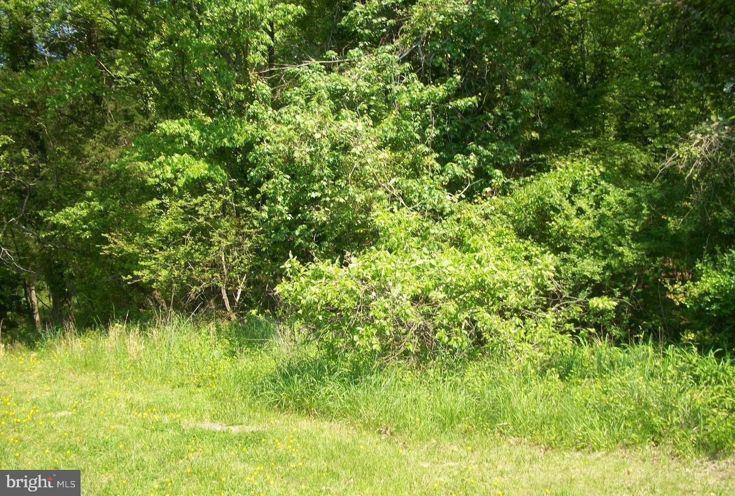 By The Mill Road California, MD 20619 - Photo 16 of 25 Gallery Image 16