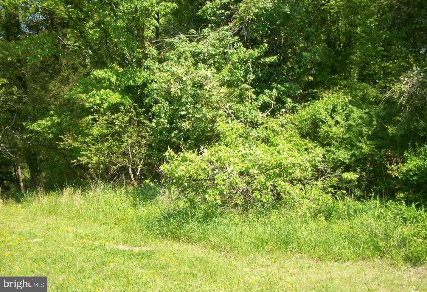 By The Mill Road California, MD 20619 - Photo 17 of 25 Gallery Image 17