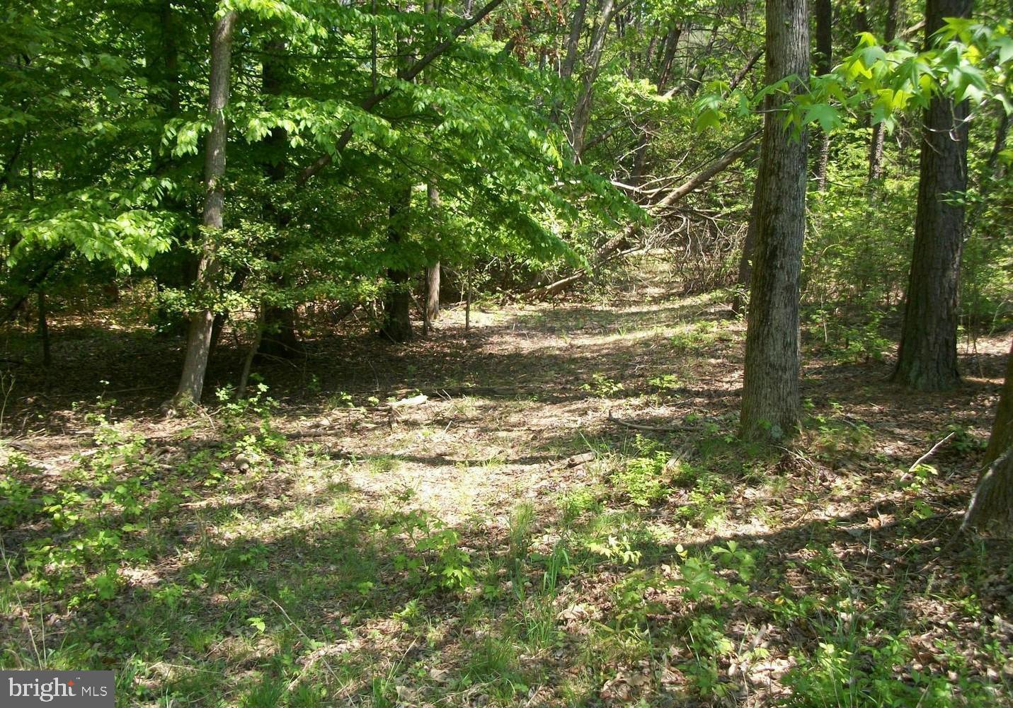 By The Mill Road California, MD 20619 - Photo 9 of 25 Gallery Image 9