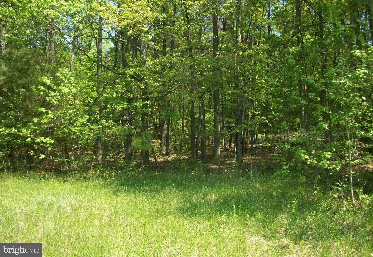 By The Mill Road California, MD 20619 - Photo 10 of 25 Gallery Image 10