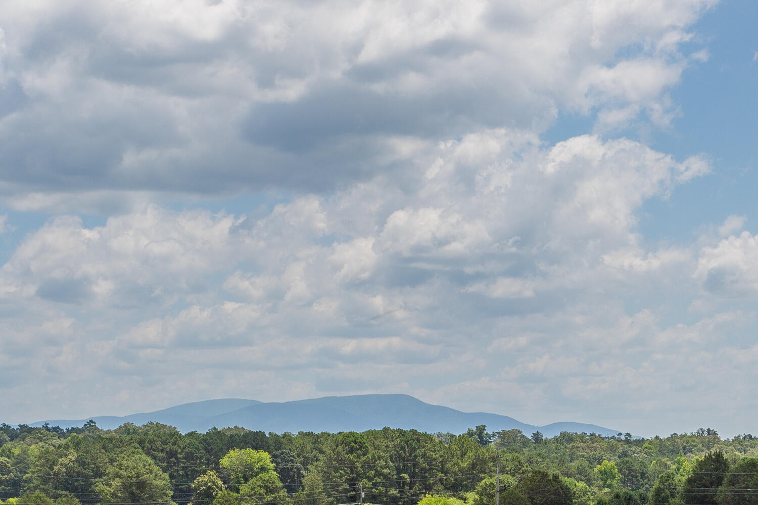 1166 Cohutta Beaverdale Road Cohutta, GA 30710 - Photo 36 of 58 1166 Cohutta Beaverdale Road HD-3