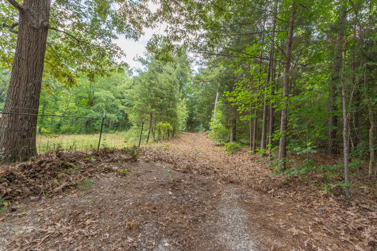 1166 Cohutta Beaverdale Road Cohutta, GA 30710 - Photo 49 of 58 1166 Cohutta Beaverdale Road HD-35