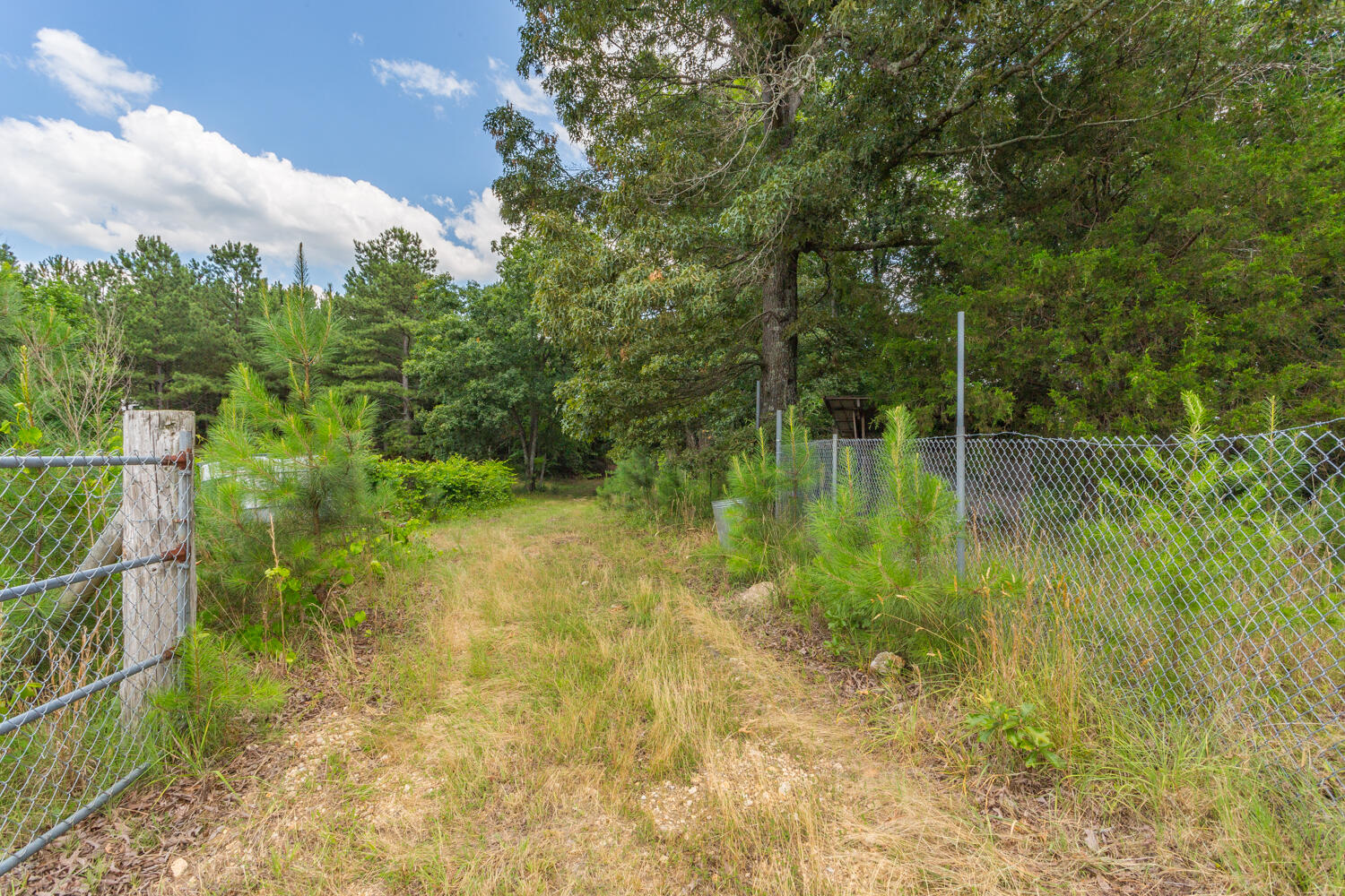1166 Cohutta Beaverdale Road Cohutta, GA 30710 - Photo 52 of 58 1166 Cohutta Beaverdale Road HD-41