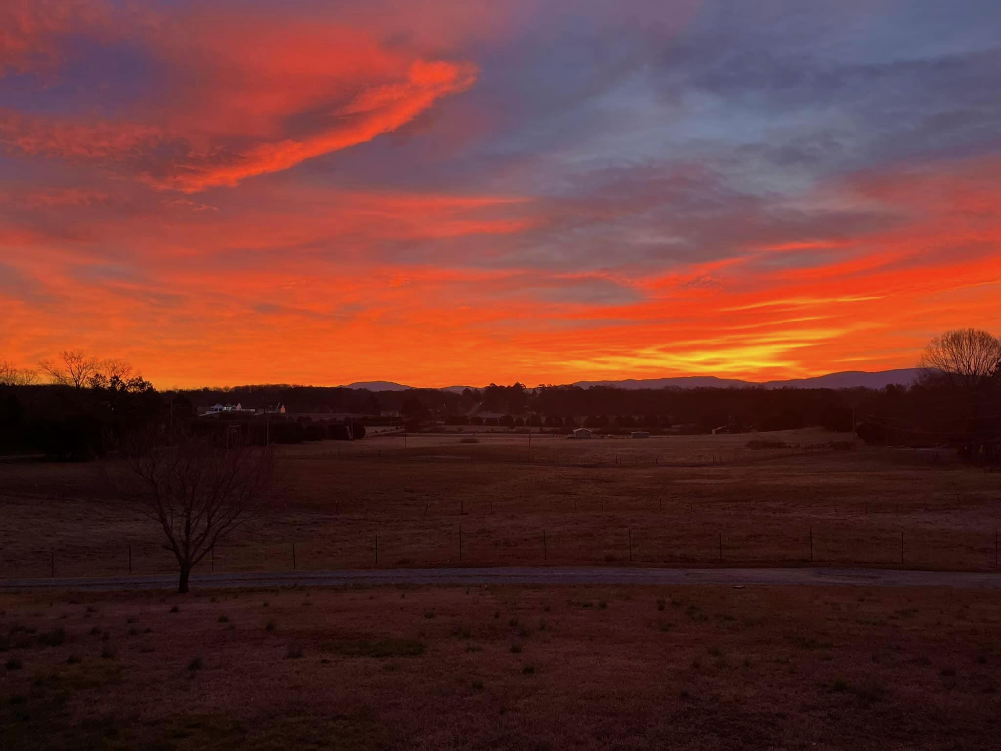 1166 Cohutta Beaverdale Road Cohutta, GA 30710 - Photo 53 of 58 IMG_2760 (1)