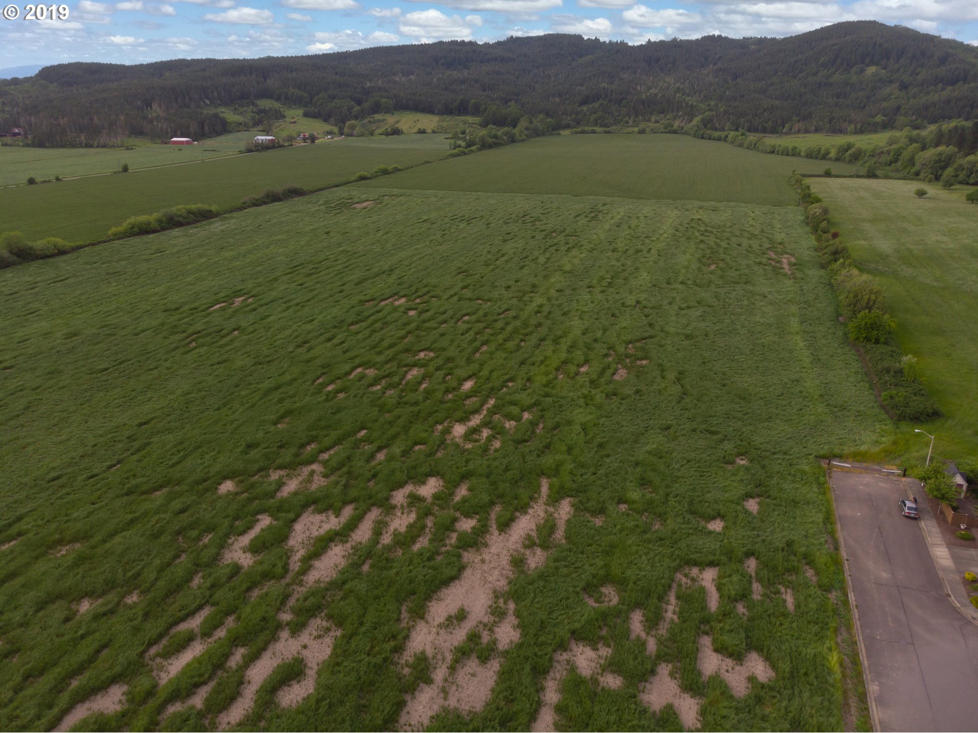 0 Northwest Viola Street Sheridan, OR 97378 - Photo 2 of 8