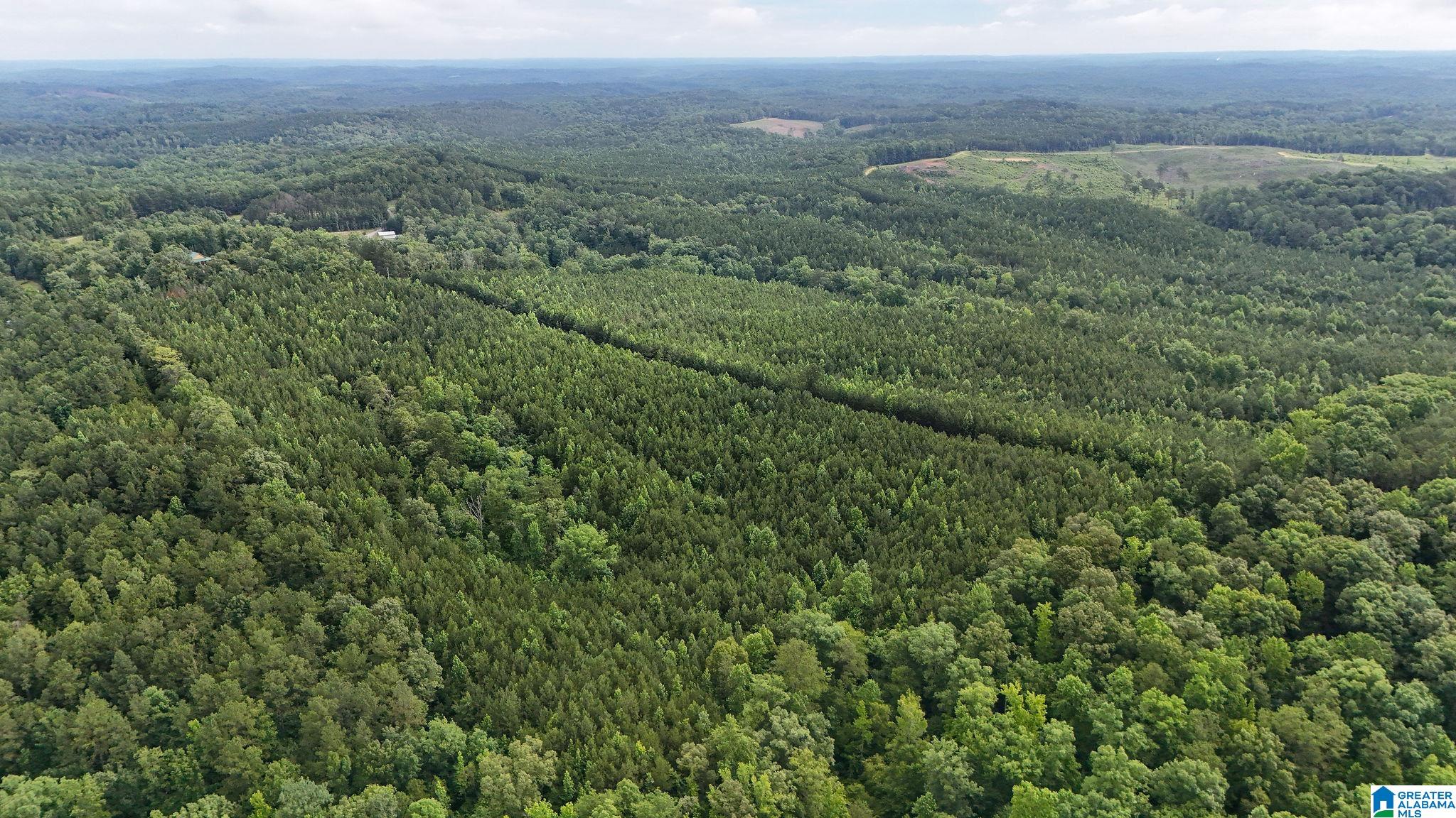 0 Skyview Lake Road Cottondale, AL 35453 - Photo 15 of 22