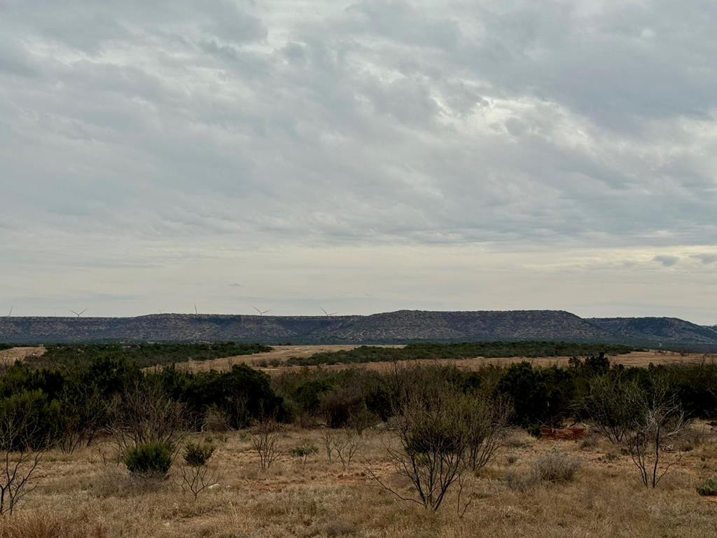 537 Lone Mills Road Robert Lee, TX 76945 - Photo 11 of 24 Photo 11