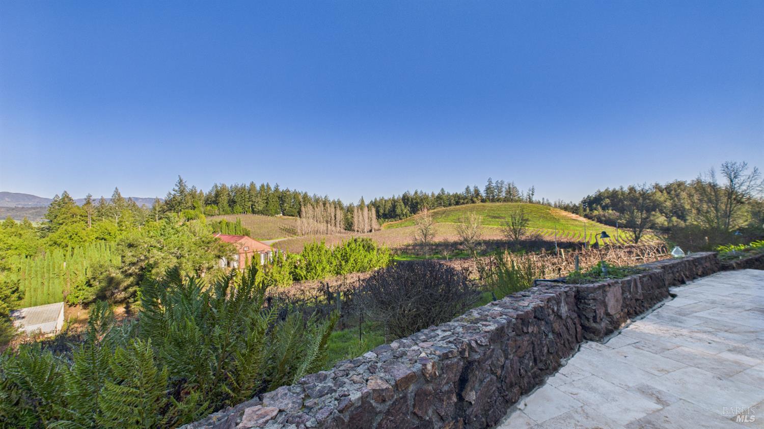 3225 West Dry Creek Road Healdsburg, CA 95448 - Photo 6 of 45 a view of a lake with a city