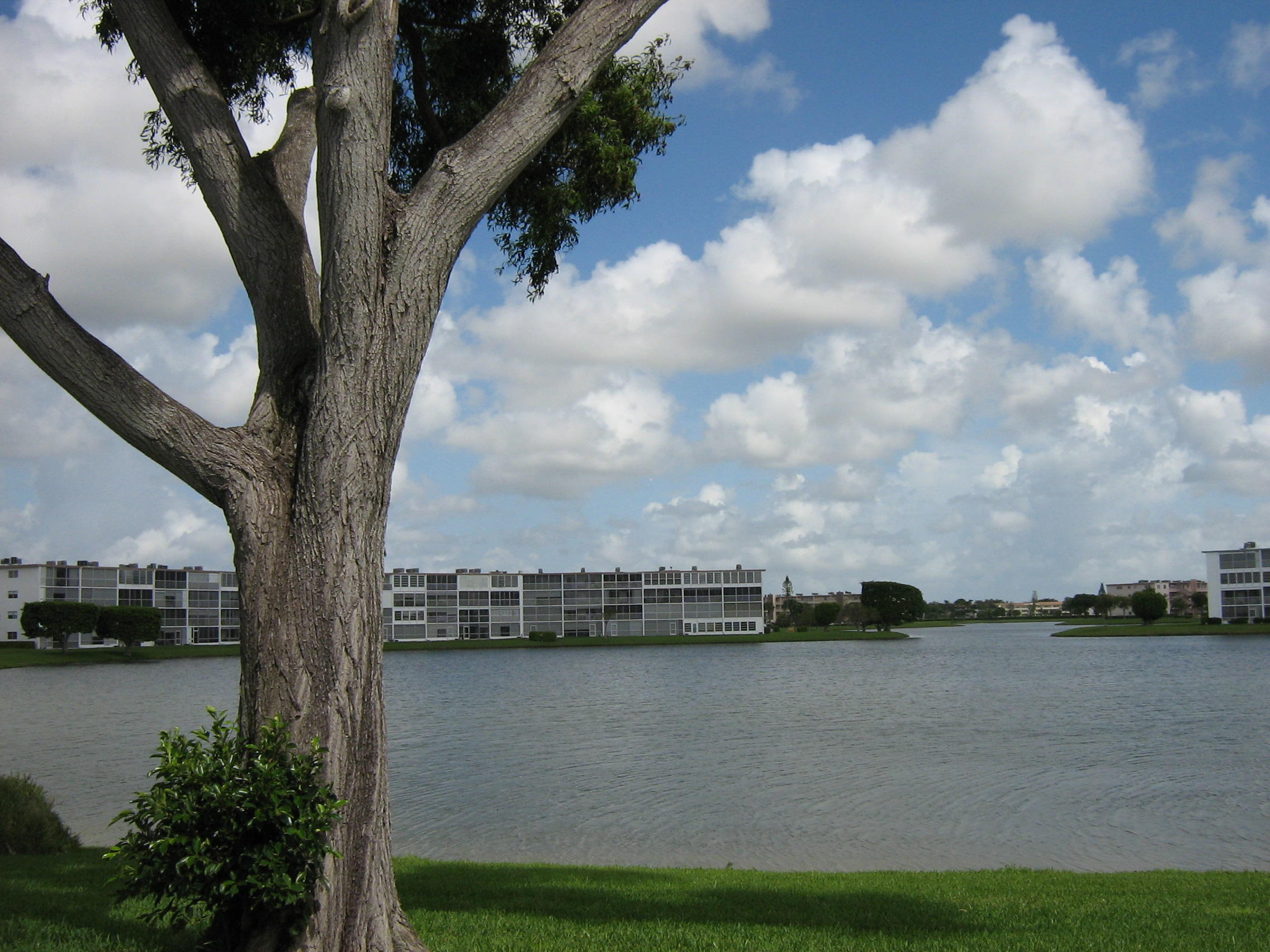 16 Dorset A Boca Raton, FL 33434 - Photo 49 of 55 Century Village Boca Raton Lake tree vie