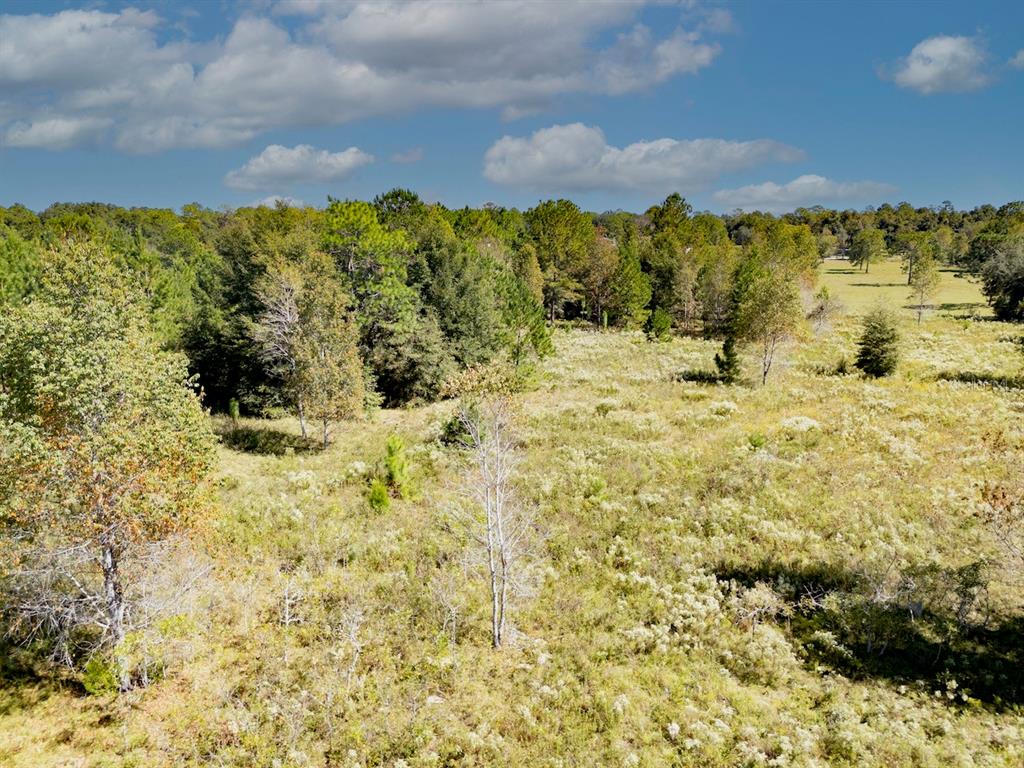 0 Northeast 75th Street Williston, FL 32696 - Photo 7 of 11 a view of a bunch of mountains and in the background