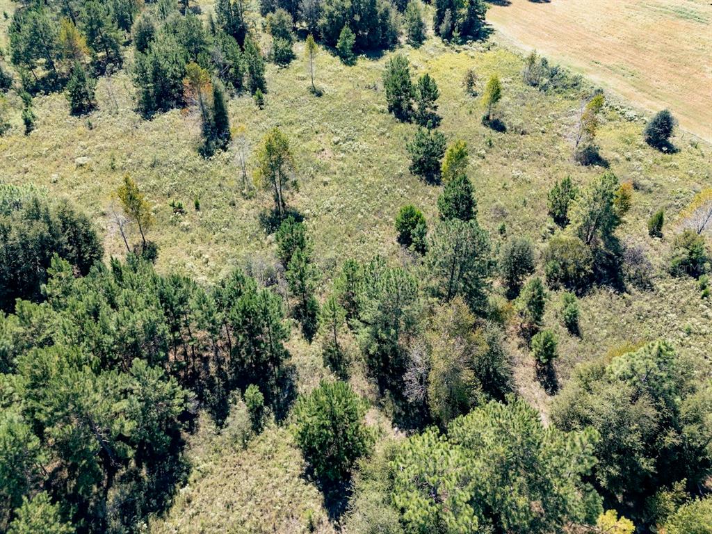 0 Northeast 75th Street Williston, FL 32696 - Photo 9 of 11 a view of a covered with snow on the green field