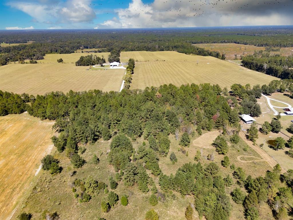 0 Northeast 75th Street Williston, FL 32696 - Photo 10 of 11 a view of lake with mountain