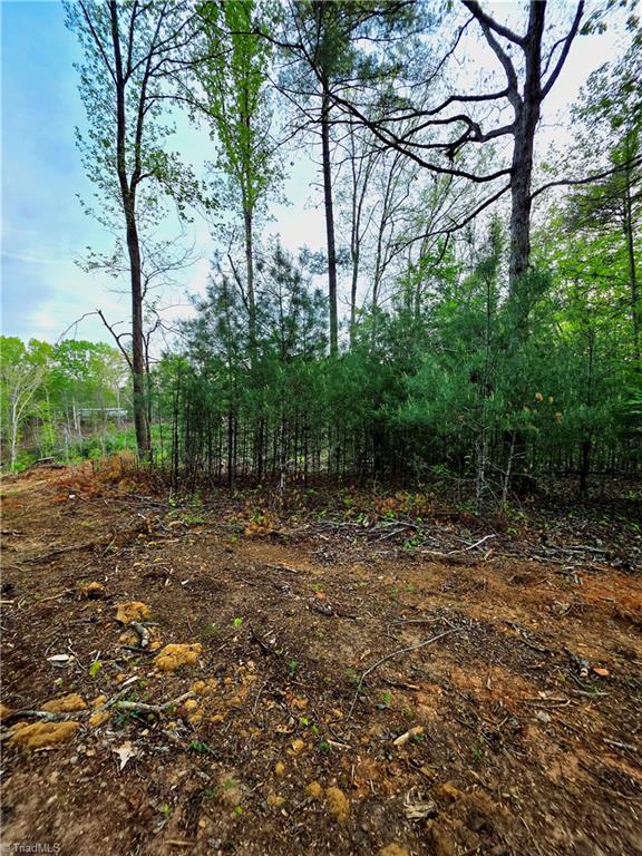 Tbd Ruritan Park Road North Wilkesboro, NC 28659 - Photo 2 of 5 Gallery Image 2