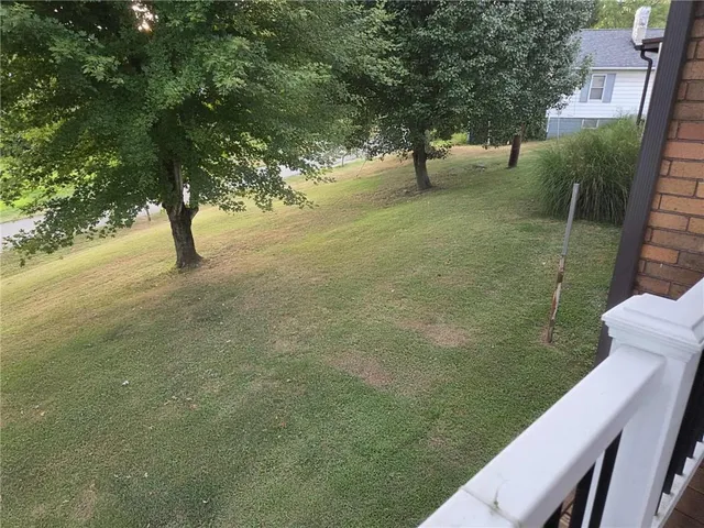 a view of a yard with a tree