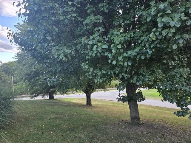 a tree in the middle of a yard