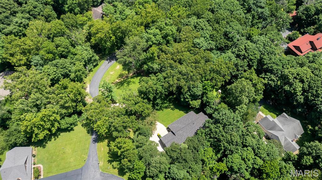 2469 Wild Valley Drive High Ridge, MO 63049 - Photo 8 of 51