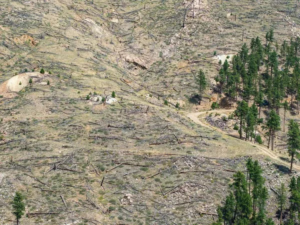 $2,850,000 | 6319 Sunshine Canyon Drive, Boulder, CO 80302