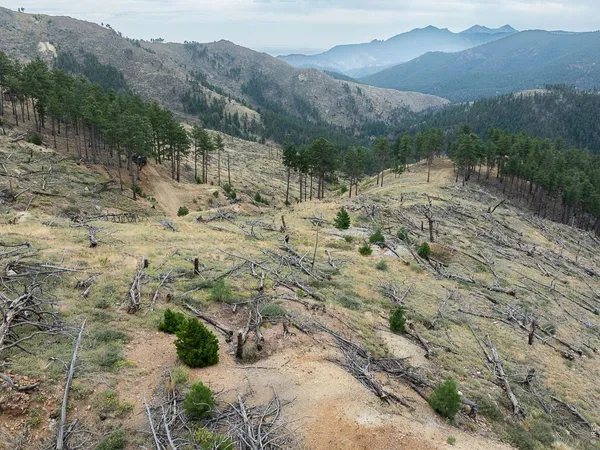 $2,850,000 | 6319 Sunshine Canyon Drive, Boulder, CO 80302