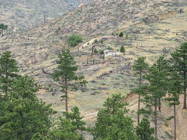 $2,850,000 | 6319 Sunshine Canyon Drive, Boulder, CO 80302