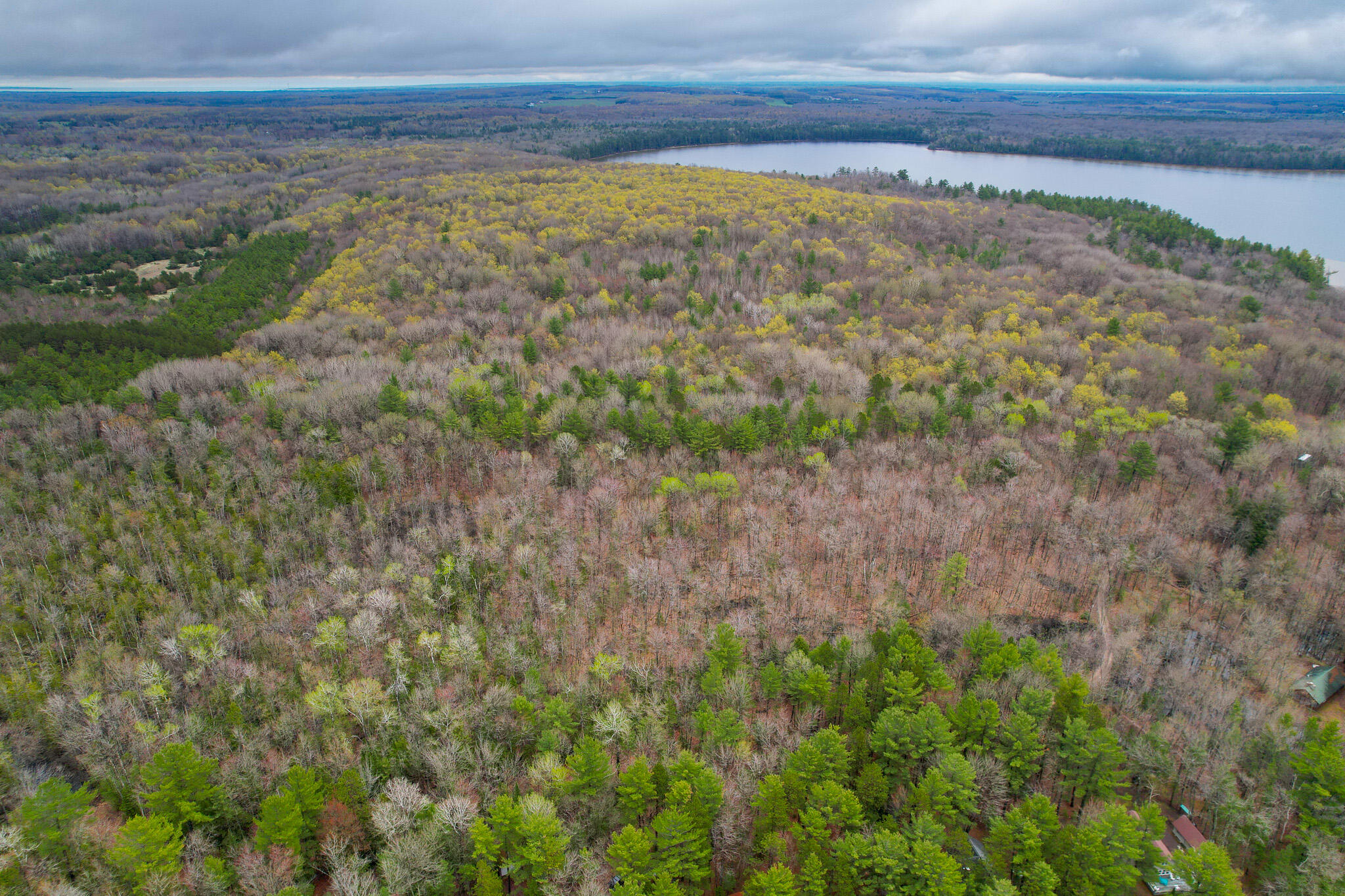 V/l Young Road Levering, MI 49755 - Photo 2 of 10 DJI_0327