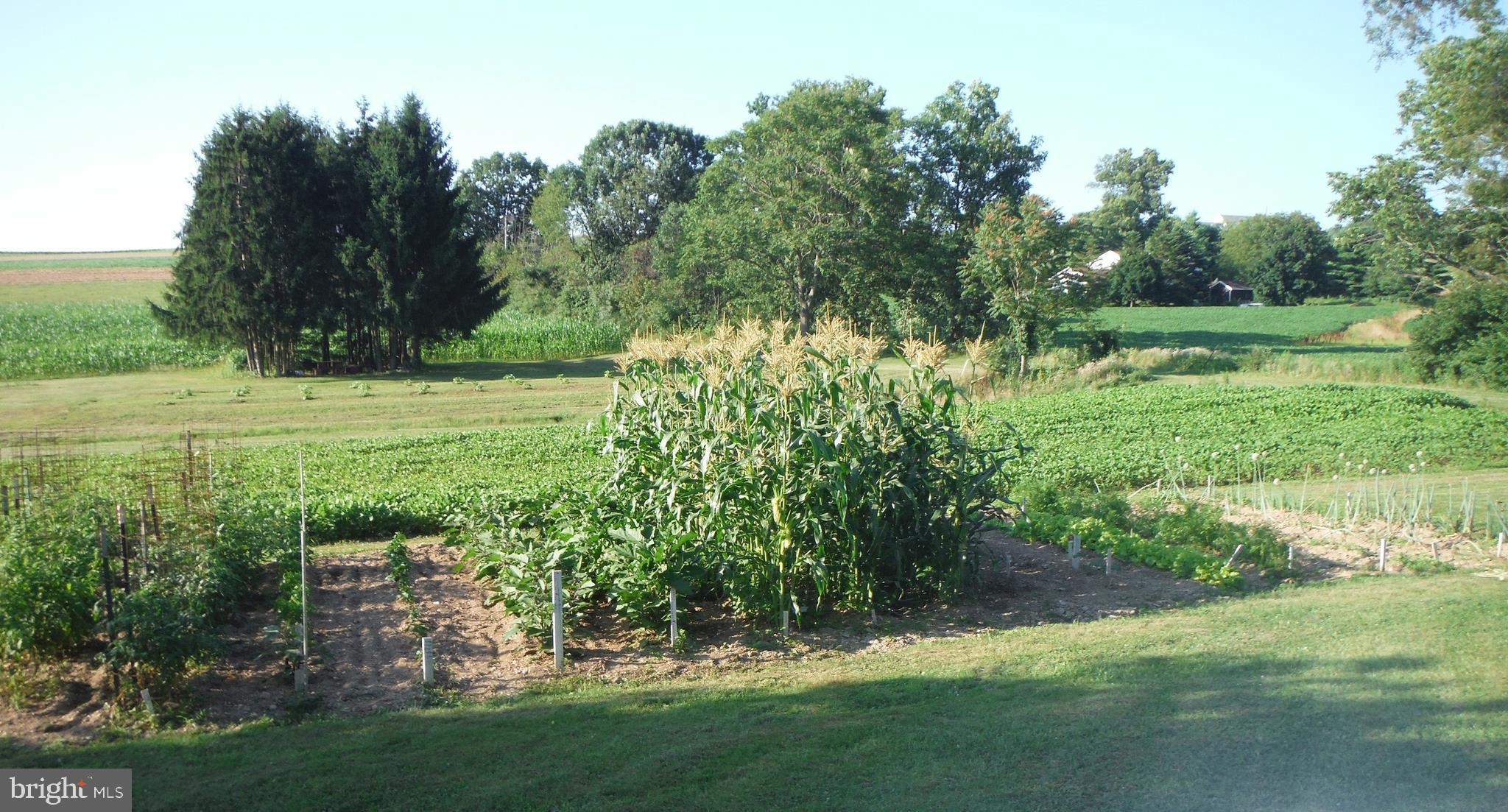 9162 Gackenbach Road Kempton, PA 19529 - Photo 31 of 38 Gallery Image 31