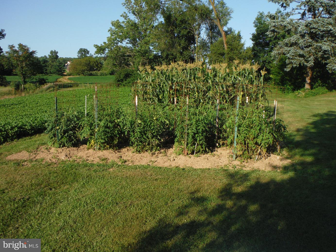 9162 Gackenbach Road Kempton, PA 19529 - Photo 32 of 38 Gallery Image 32