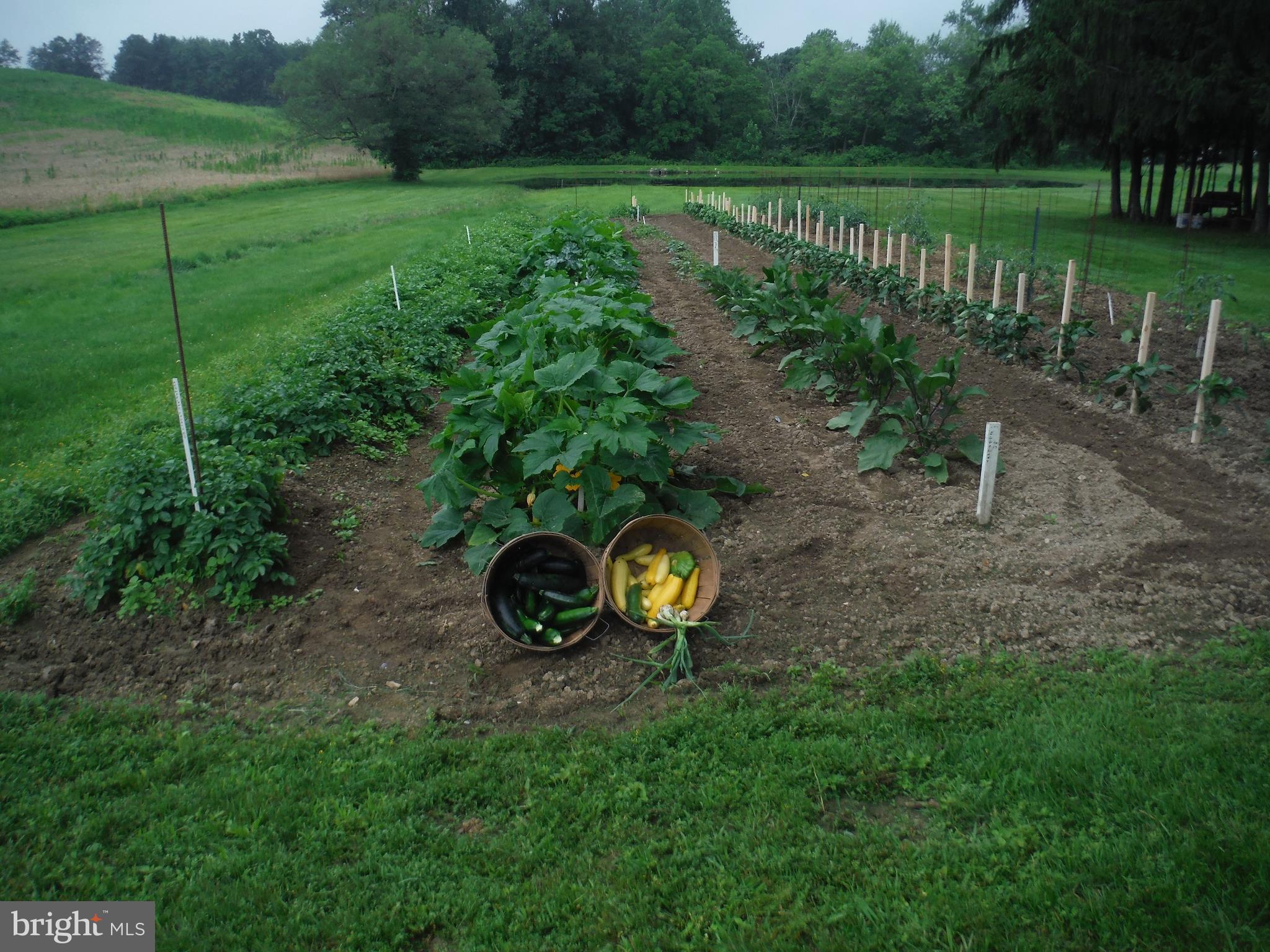 9162 Gackenbach Road Kempton, PA 19529 - Photo 36 of 38 Gallery Image 36