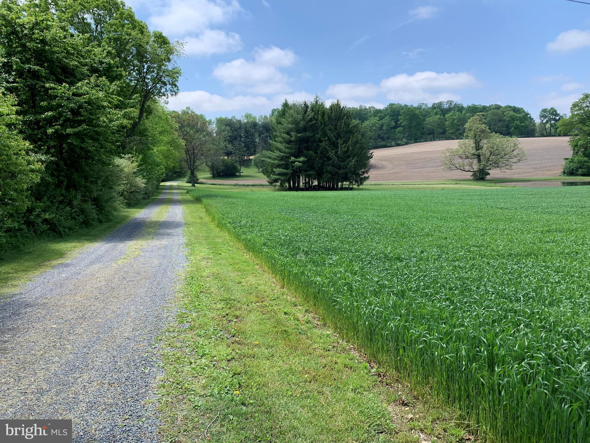 9162 Gackenbach Road Kempton, PA 19529 - Photo 6 of 38 Gallery Image 6