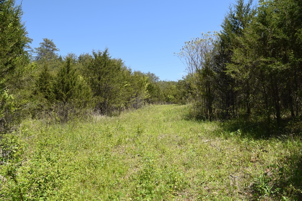 44 Rocky Valley Road New Market, TN 37820 - Photo 11 of 49 Gallery Image 11