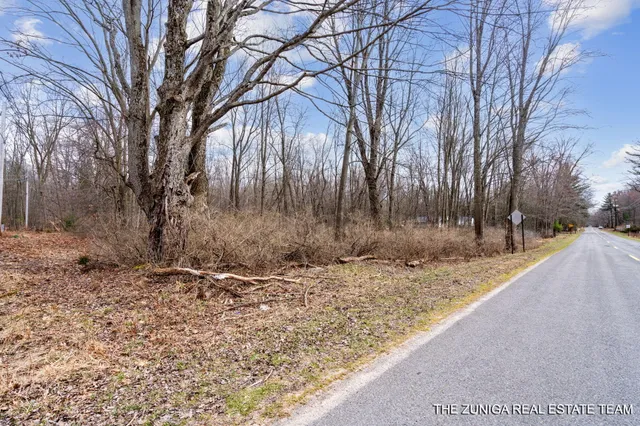 $159,900 | Parcel A Nestrom Road, Whitehall, MI 49461