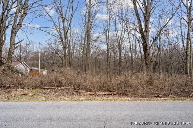 $159,900 | Parcel A Nestrom Road, Whitehall, MI 49461