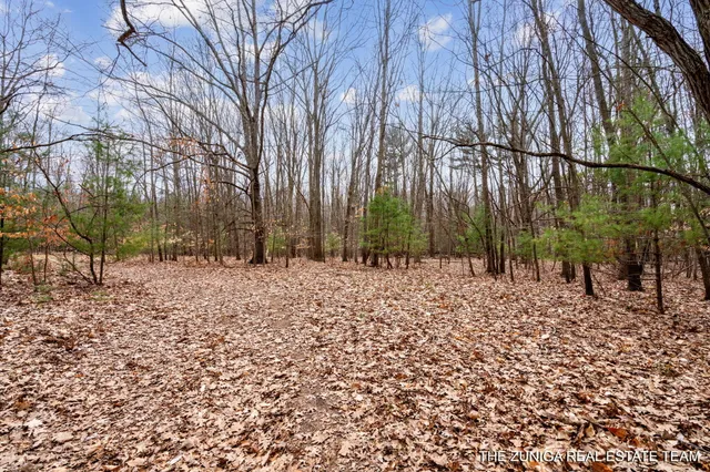$159,900 | Parcel A Nestrom Road, Whitehall, MI 49461