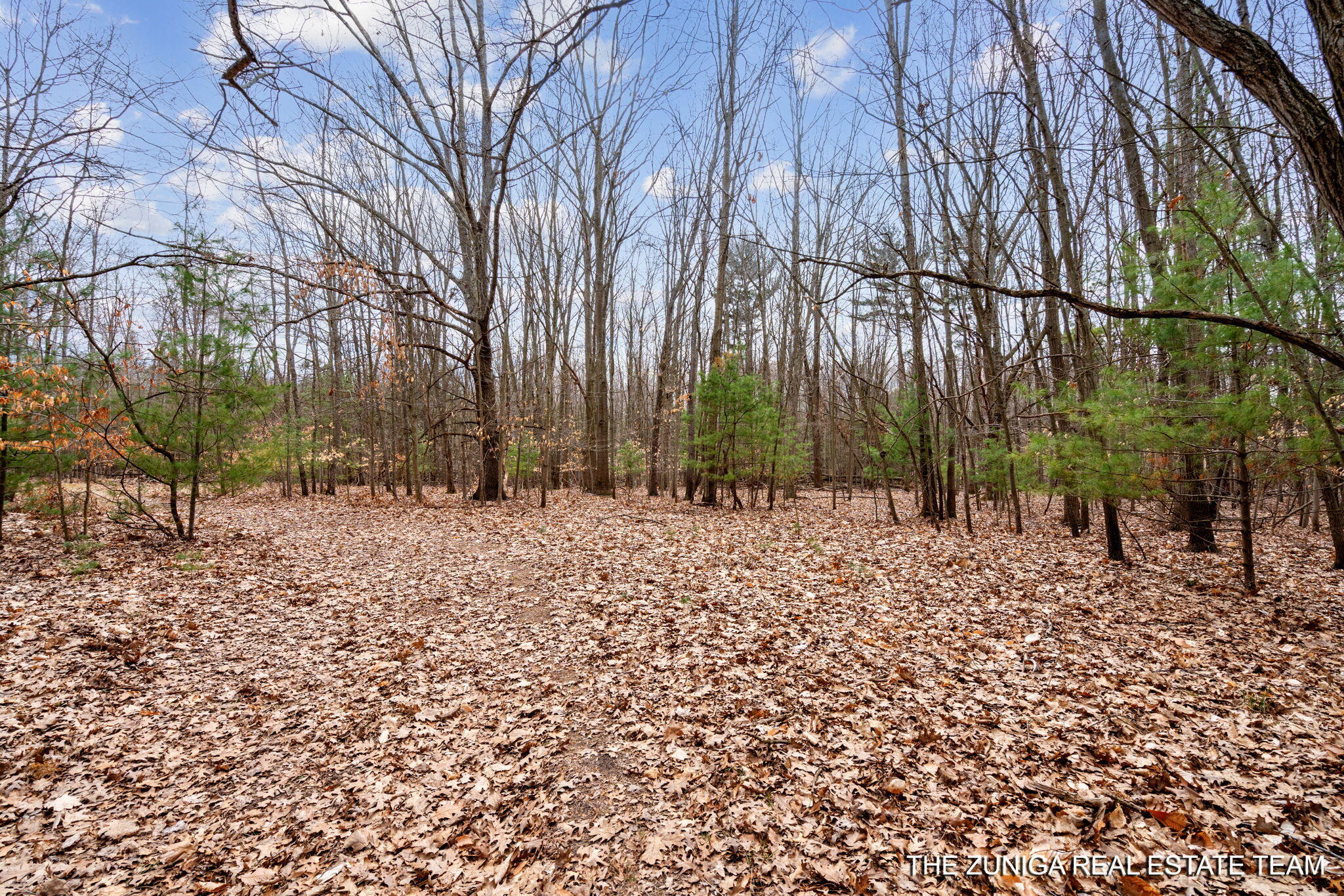 Parcel A Nestrom Road Whitehall, MI 49461 - Photo 19 of 35 7-web-or-mls-A7409296