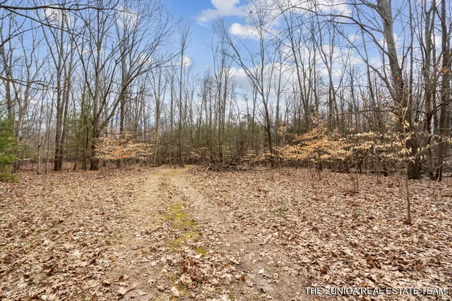 $159,900 | Parcel A Nestrom Road, Whitehall, MI 49461