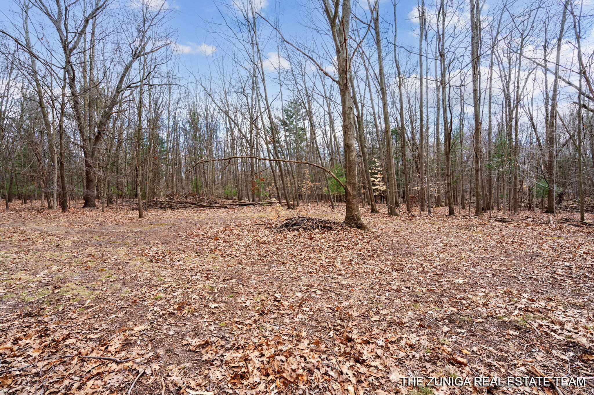 Parcel A Nestrom Road Whitehall, MI 49461 - Photo 21 of 35 1000006233