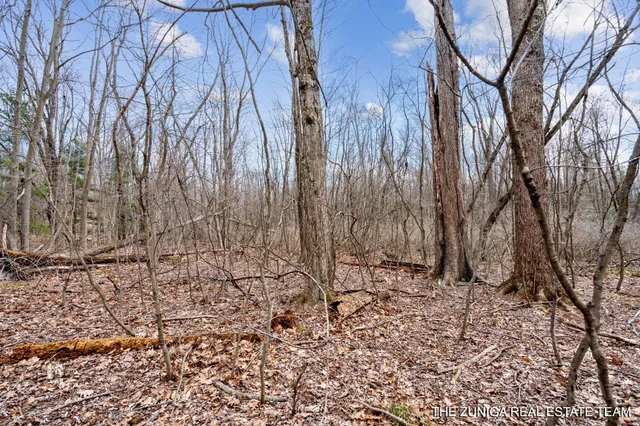$159,900 | Parcel A Nestrom Road, Whitehall, MI 49461
