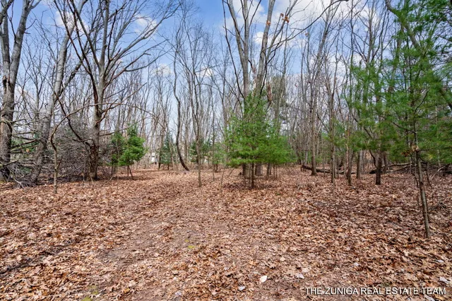 $159,900 | Parcel A Nestrom Road, Whitehall, MI 49461