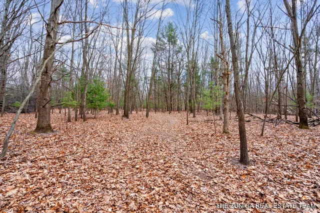 $159,900 | Parcel A Nestrom Road, Whitehall, MI 49461