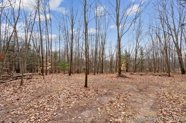 $159,900 | Parcel A Nestrom Road, Whitehall, MI 49461