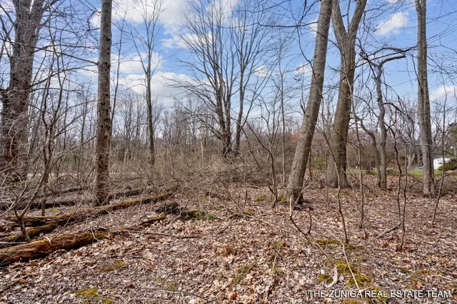 $159,900 | Parcel A Nestrom Road, Whitehall, MI 49461