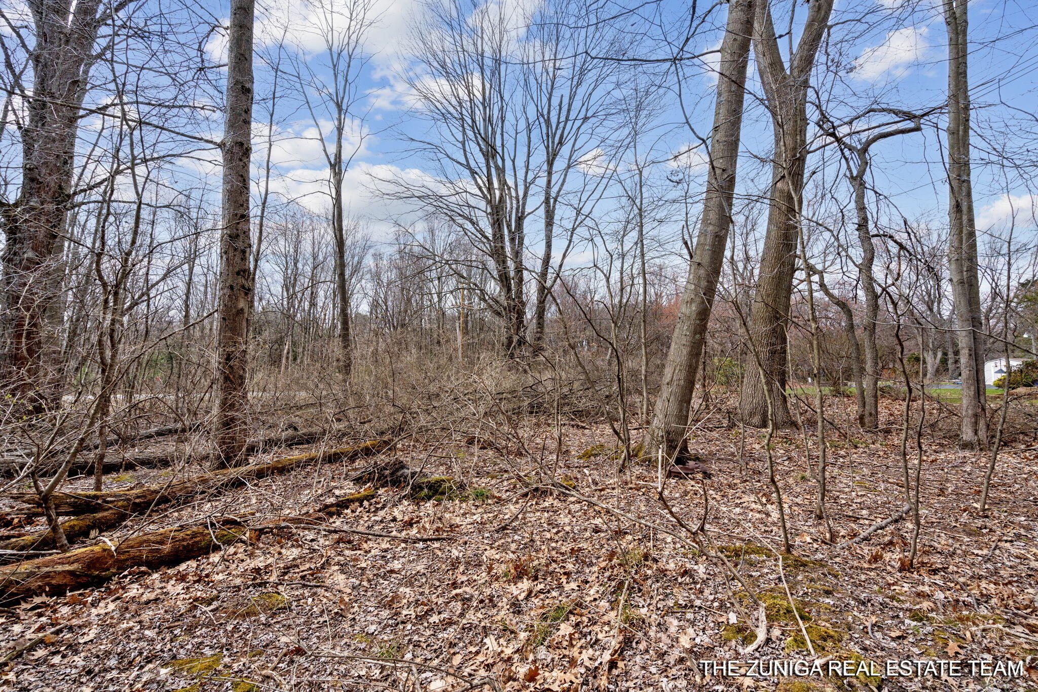 Parcel A Nestrom Road Whitehall, MI 49461 - Photo 28 of 35 1000006240