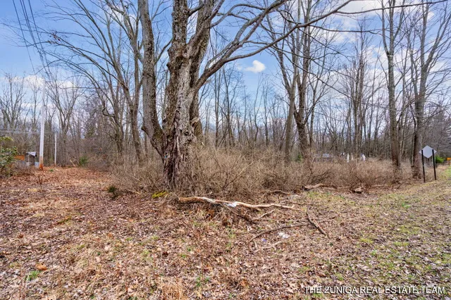 $159,900 | Parcel A Nestrom Road, Whitehall, MI 49461