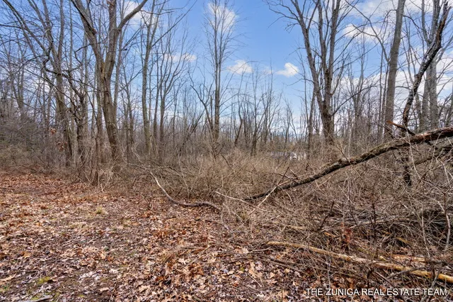 $159,900 | Parcel A Nestrom Road, Whitehall, MI 49461
