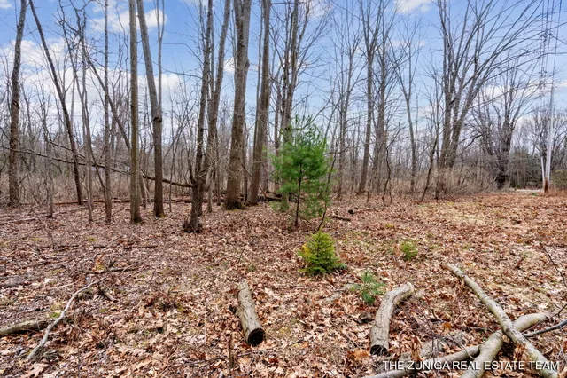 $159,900 | Parcel A Nestrom Road, Whitehall, MI 49461