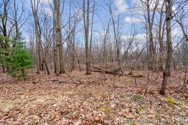$159,900 | Parcel A Nestrom Road, Whitehall, MI 49461