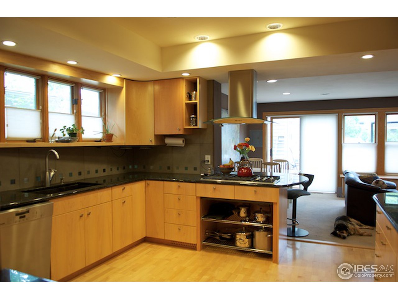 644 Dewey Avenue Boulder, CO 80304 - Photo 4 of 14 a view of a kitchen with kitchen island a sink stainless steel appliances wooden floor and a counter top space