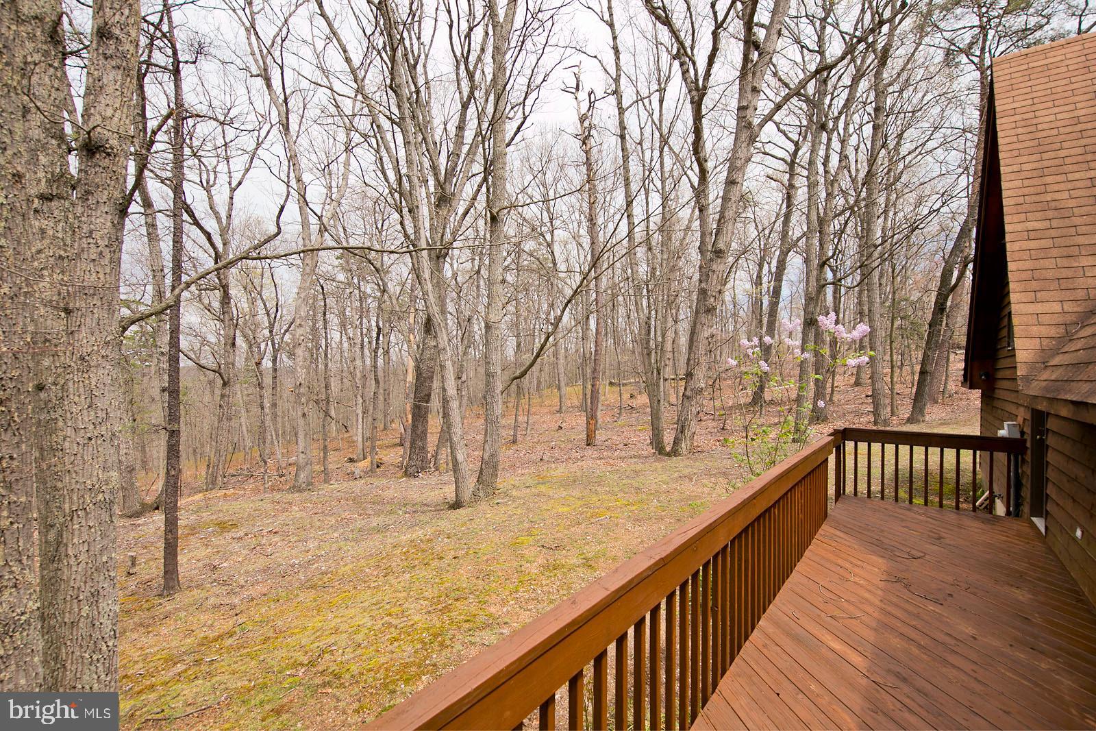 222 Collinsville Road Cross Junction, VA 22625 - Photo 14 of 46