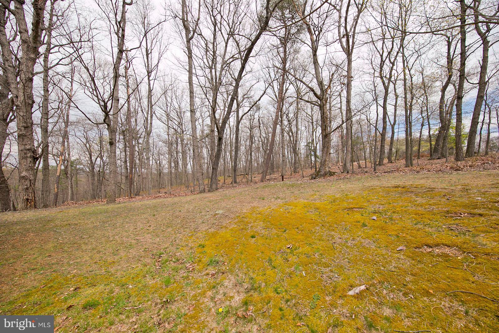 222 Collinsville Road Cross Junction, VA 22625 - Photo 43 of 46